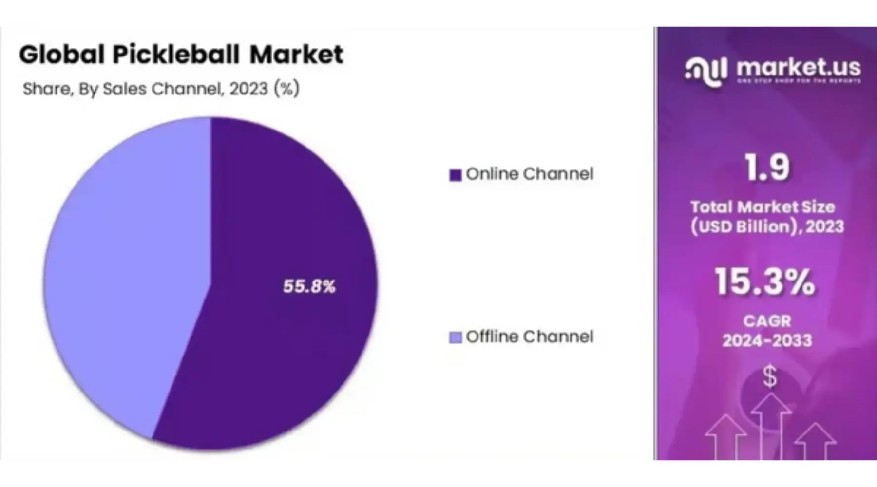 Pickleball's Explosive Growth: Global Market Poised for $7.9 Billion Milestone!